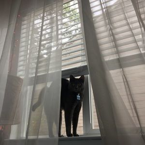 Meet your Posher, Erin